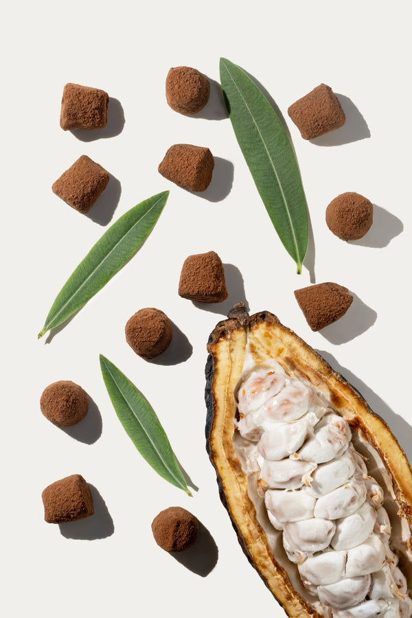 Tartufi di cioccolato vegani - sfusi
